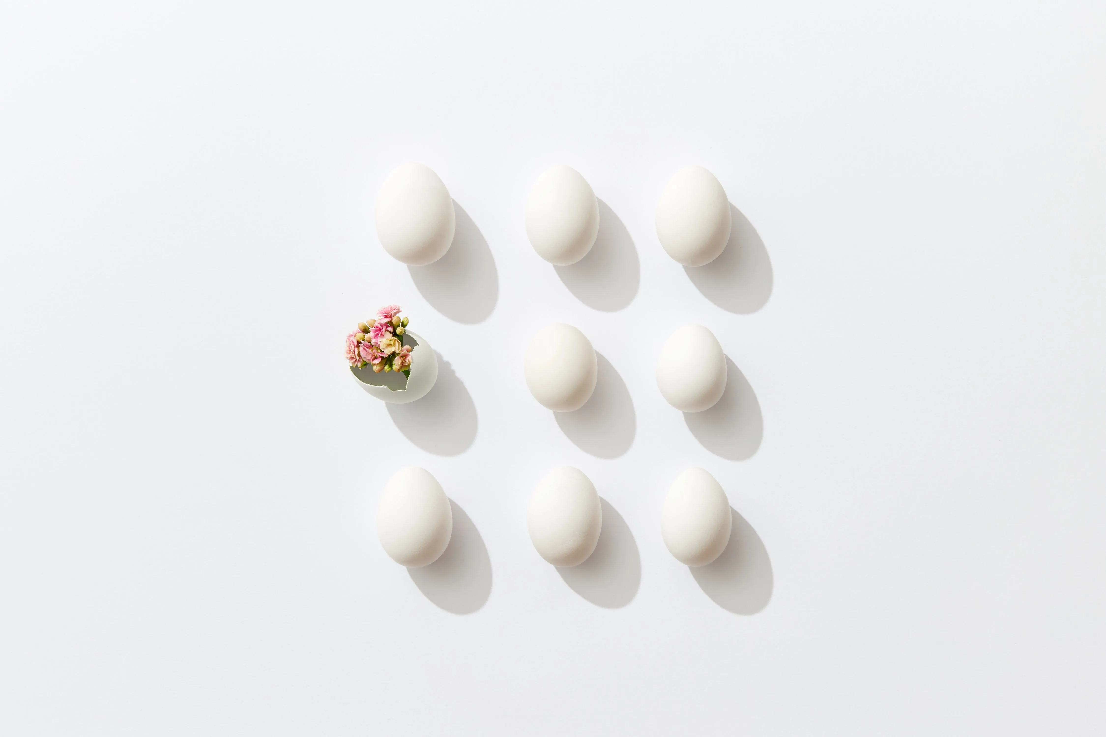 9 eggs in a grid, one with flowers coming out